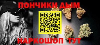 шишки Саянск
