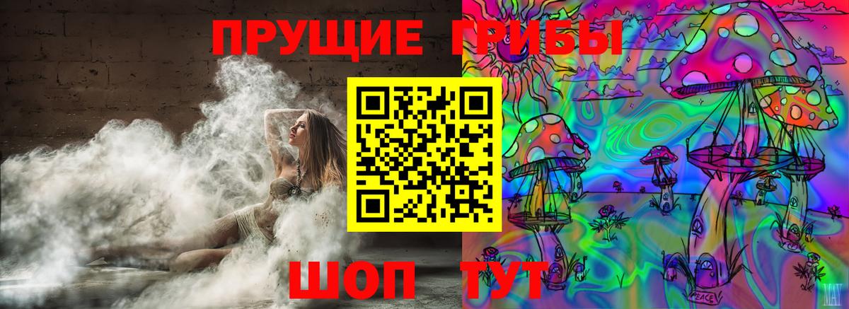 Галлюциногенные грибы Cubensis  Вход с VPN  Кропоткин  Псилоцибиновые грибы мицелий 